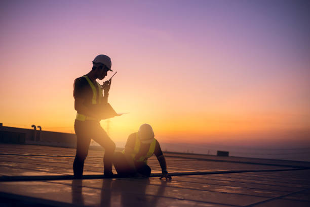 Best Roof Moss and Algae Removal  in Wolf Lake, MI
