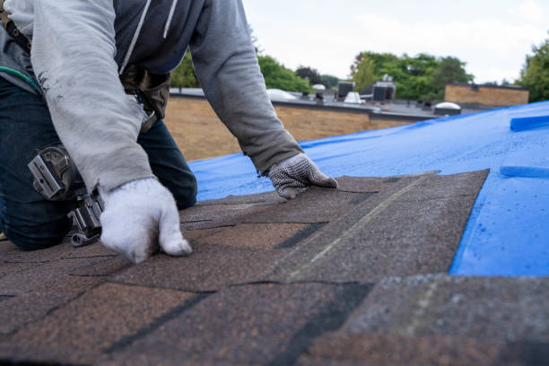 Best Roof Leak Repair  in Wolf Lake, MI