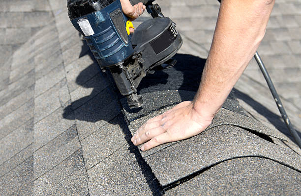 Best Roof Leak Repair  in Wolf Lake, MI