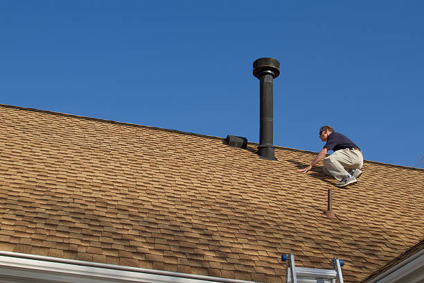 Best Skylight Installation and Repair  in Wolf Lake, MI