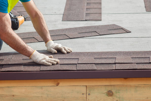 Best Roof Maintenance and Cleaning  in Wolf Lake, MI