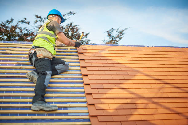 Best Rubber Roofing (EPDM, TPO)  in Wolf Lake, MI